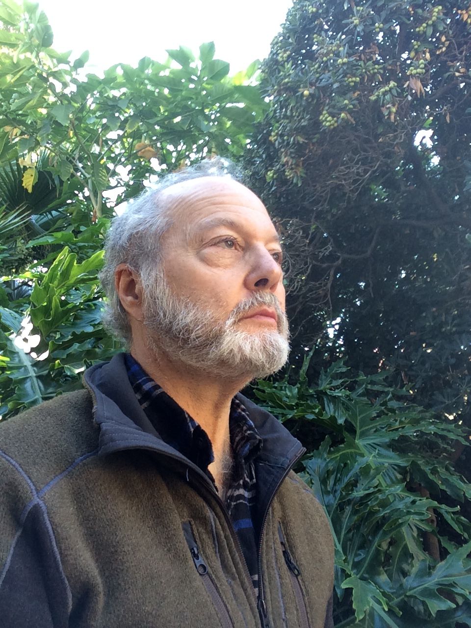 Older man with gray hair and beard looking upward outdoors surrounded by green foliage.