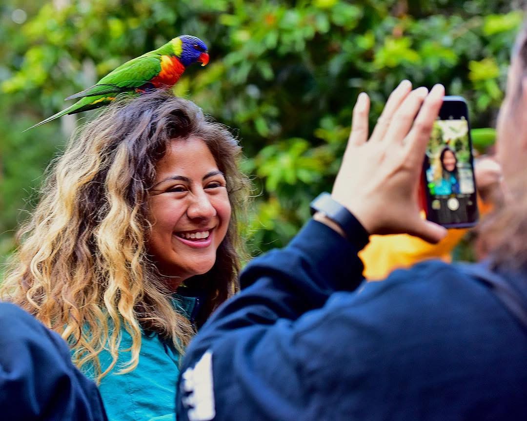 Woman smiling with a colorful bird on her head, taking a photo outdoors with a person holding a phone.