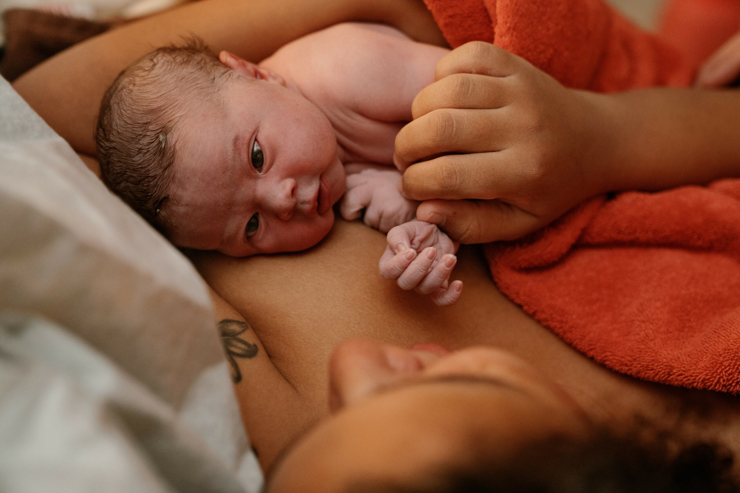 Newborn baby lying on an adult's chest, wrapped in a red blanket, with eyes open and hand near face.