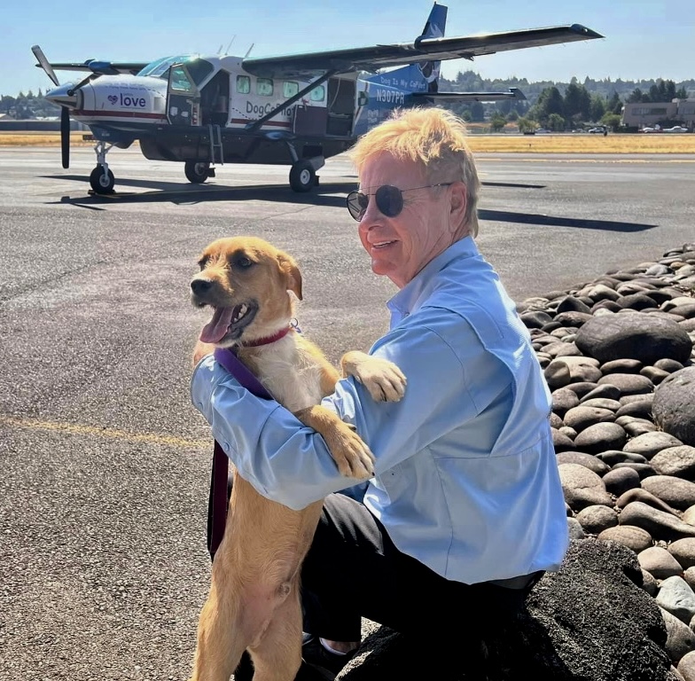 Person with sunglasses holding a dog near a helicopter on tarmac, rocks on the ground, clear sky.