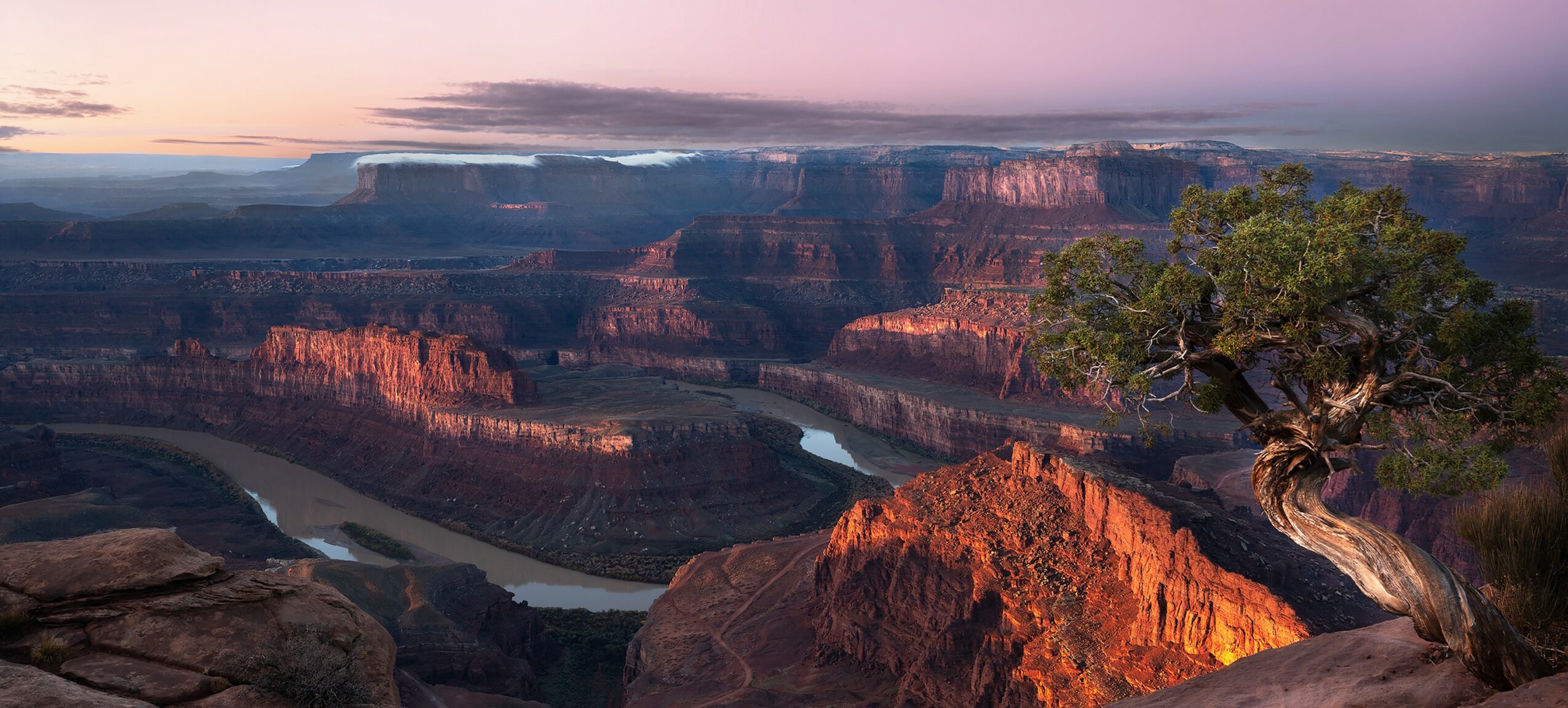Grand canyon landscape with river, cliffs, and a tree on the right, under a colorful sky.
