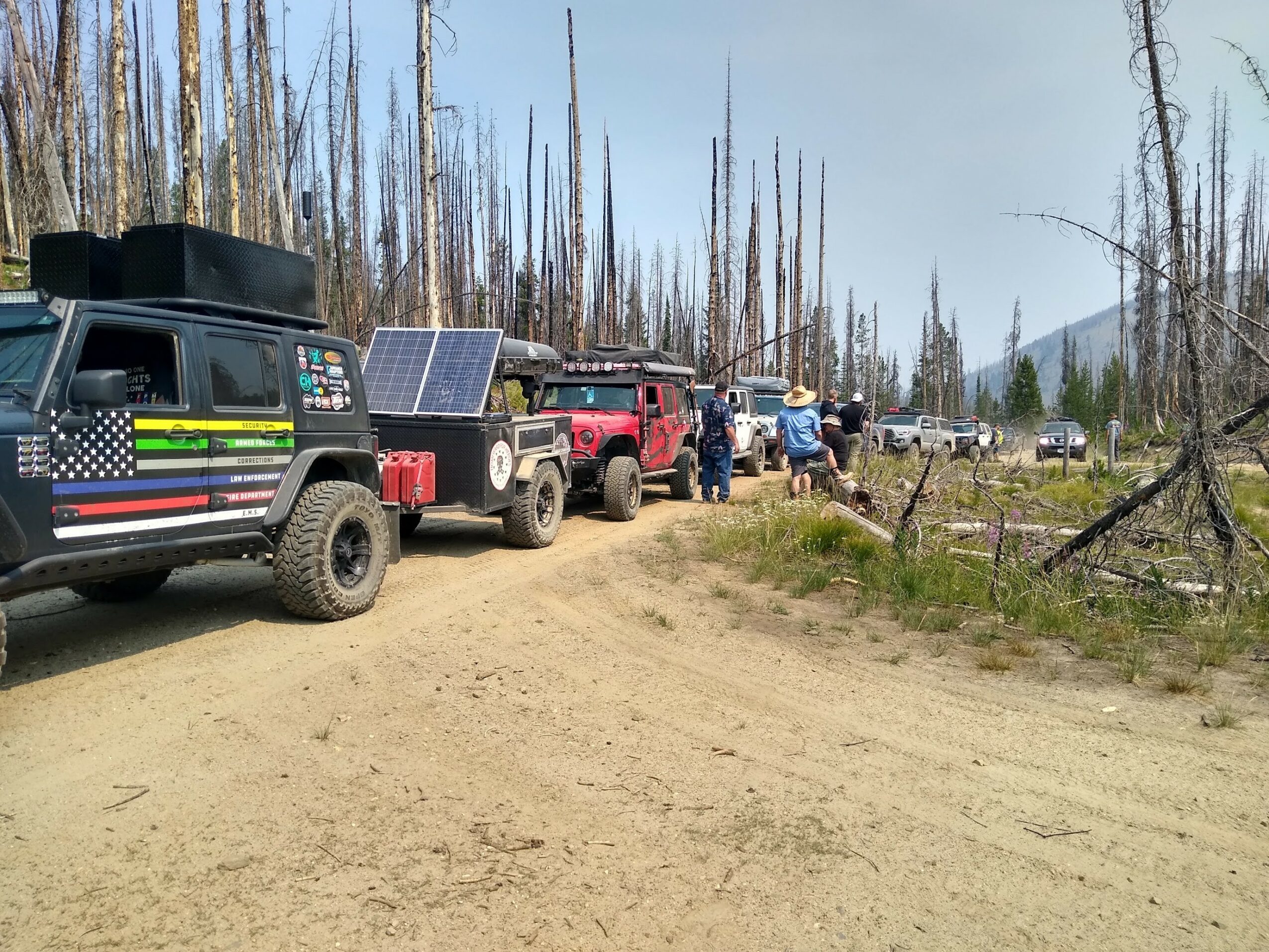 Line of vehicles parked on a dirt road in a forested area with burnt trees and people walking nearby.