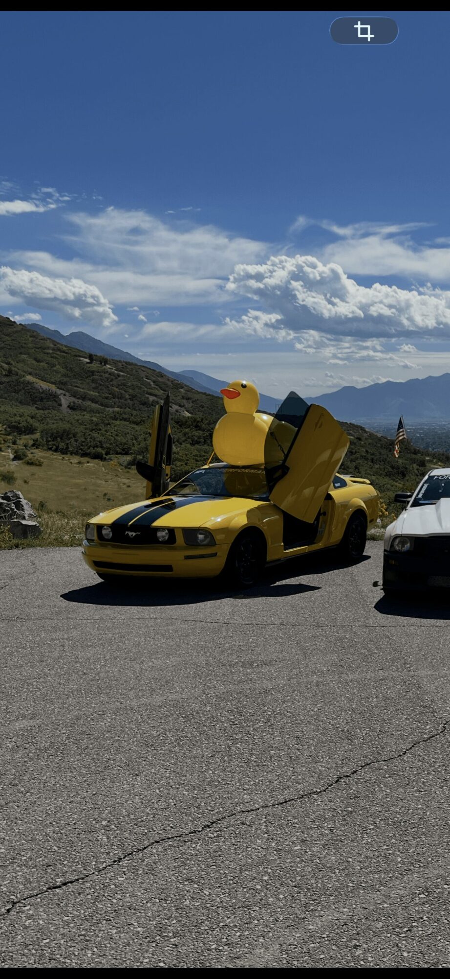 Yellow car with a large rubber duck on top parked on a road with mountains and blue sky in background.