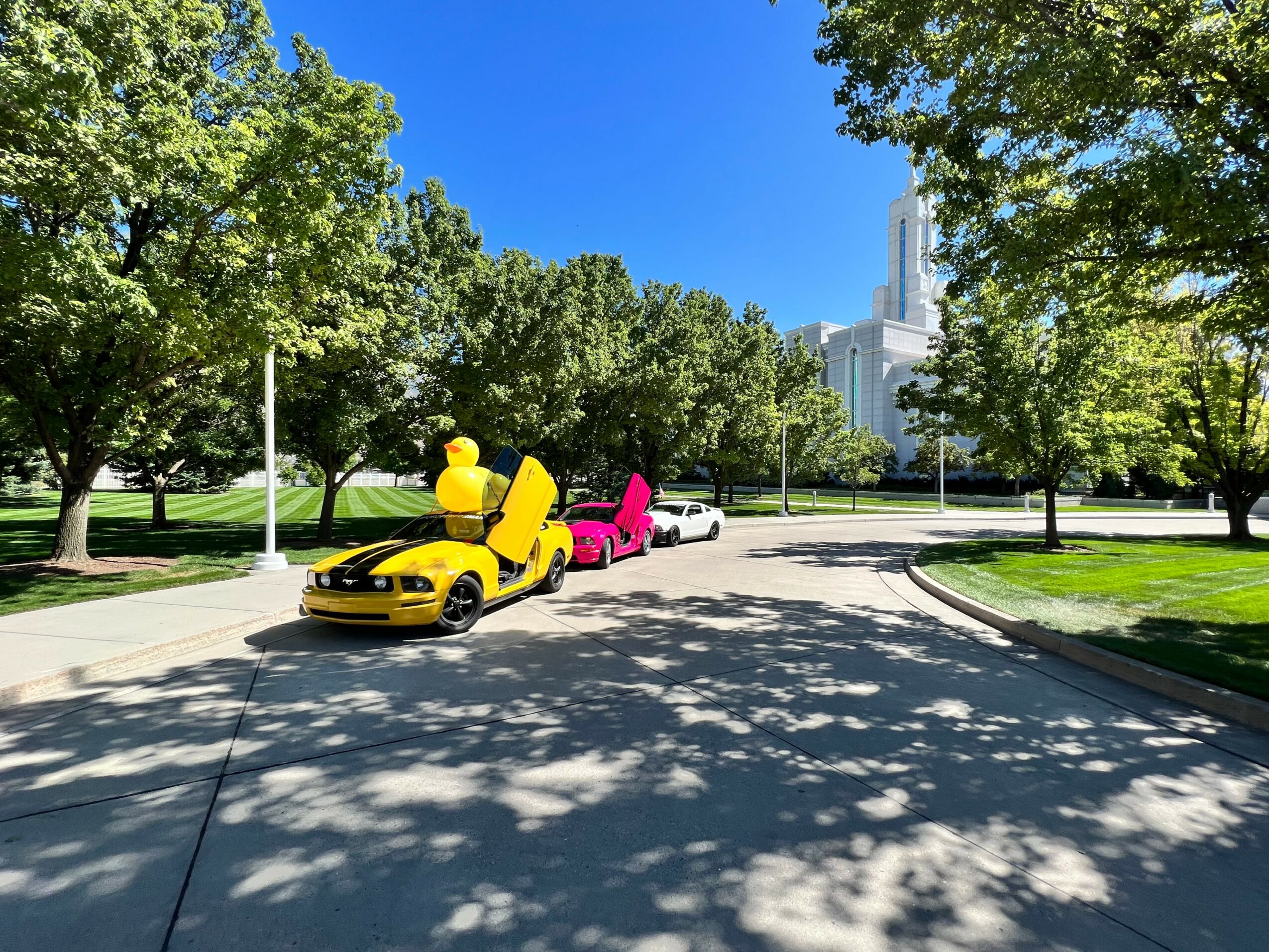 Yellow and pink cars with large rubber duck and pink flamingo decorations parked on a curved road in a park with green trees and a city skyline in the background.