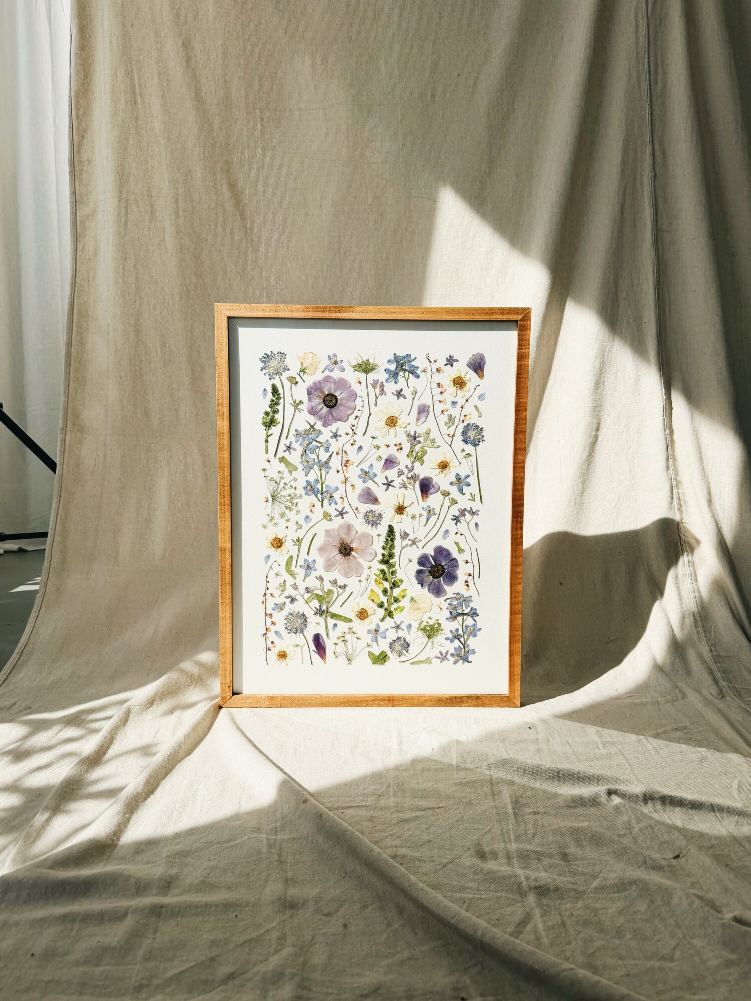 Framed botanical illustration with various flowers and plants, placed on a fabric surface with sunlight and shadows.
