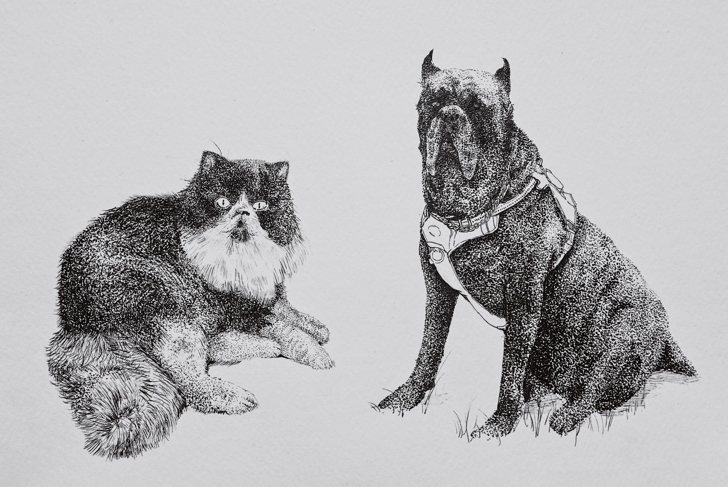 Drawing of a sitting dog and a lying dog, both detailed and realistic, on a plain background.