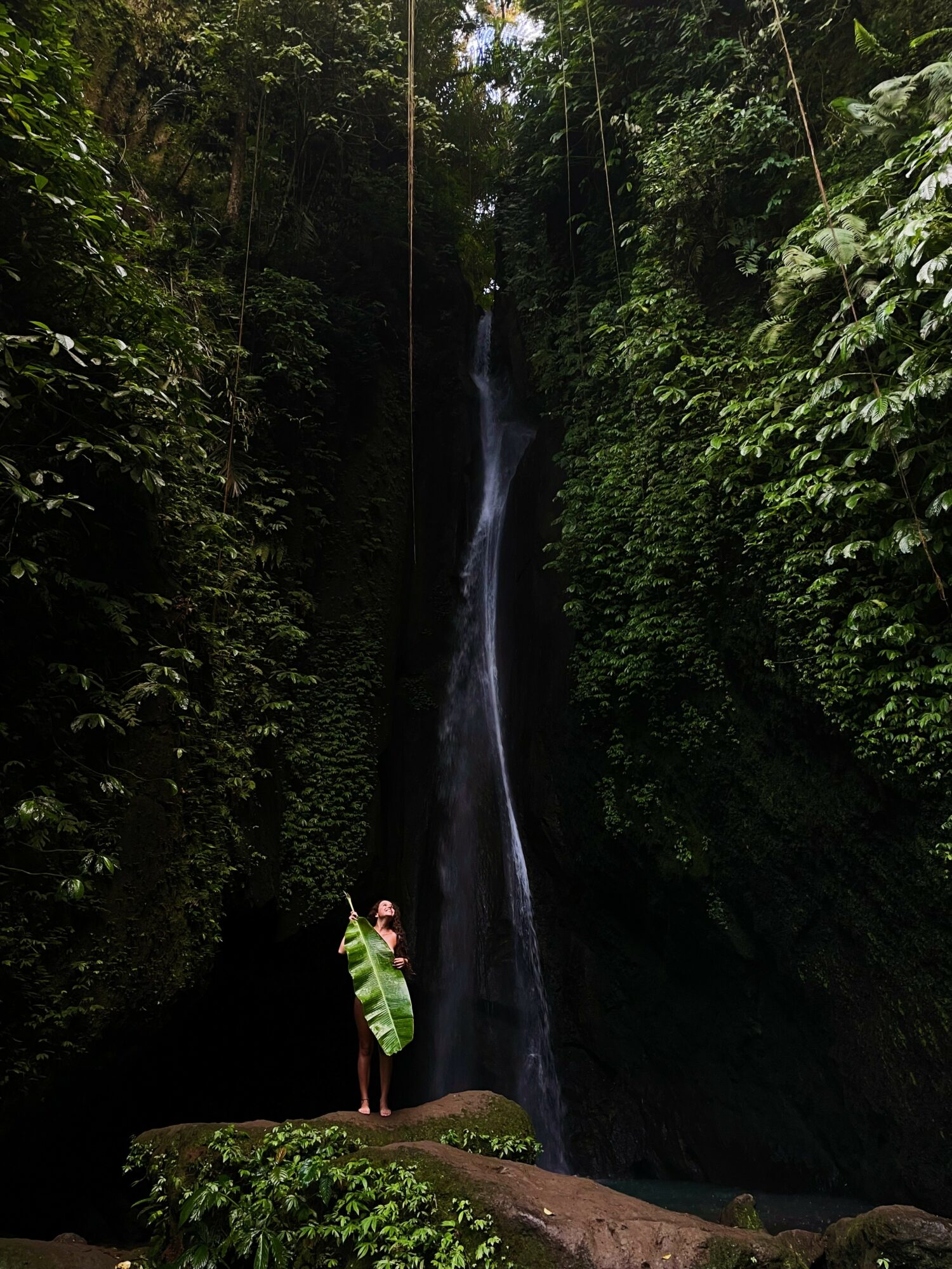 Person holding a large leaf standing on rocks near a tall waterfall in a lush forest.