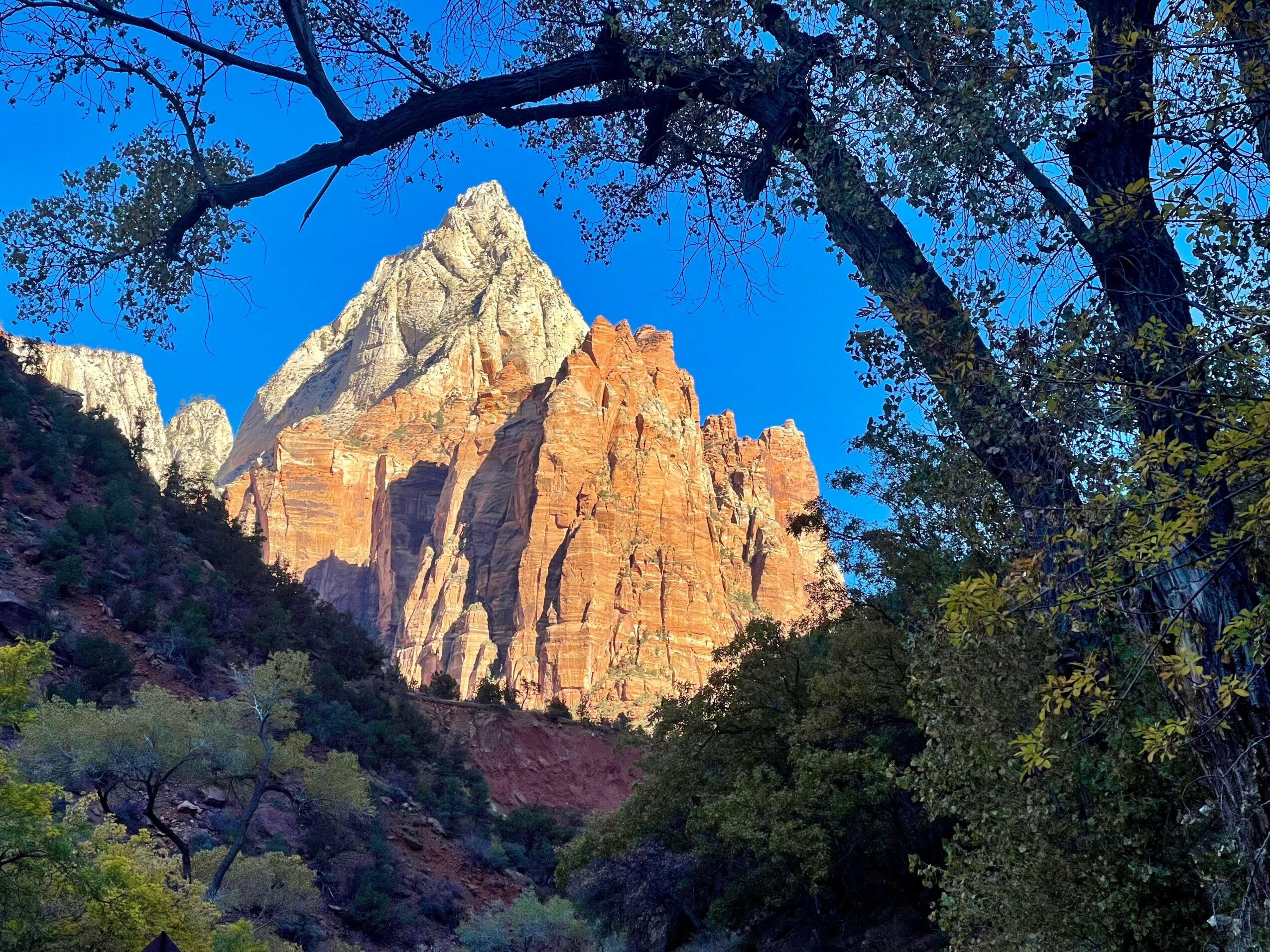 Mountain peaks with rocky cliffs and a clear blue sky, framed by trees and branches.