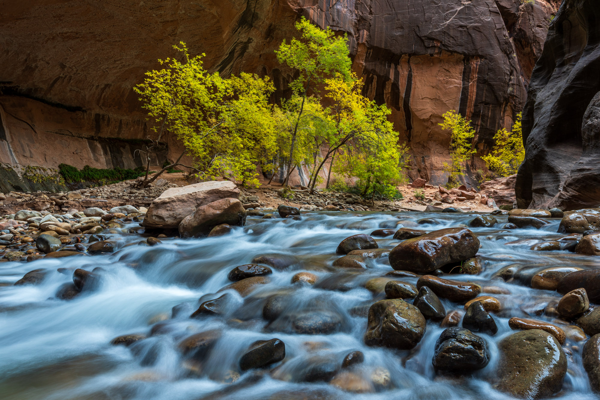 Flowing river with rocks, green trees, and canyon walls in the background.