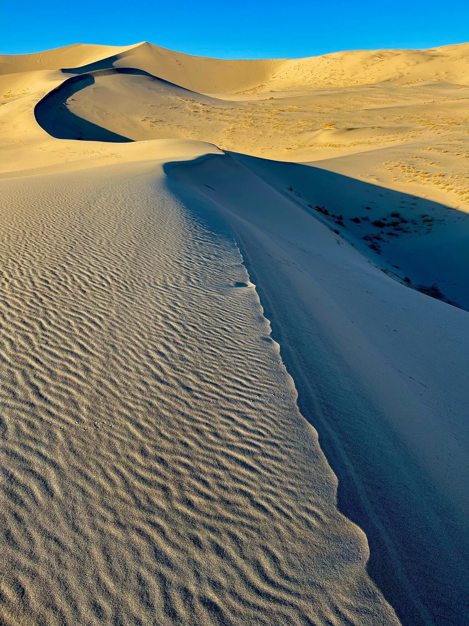 Sand dunes with rippled surface and a clear blue sky, shadowed areas on the dunes, no people visible.