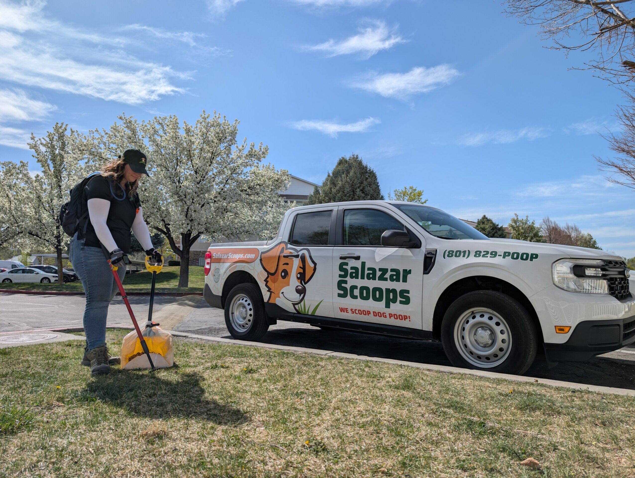 Person raking grass next to a white pickup truck with Salazar Scoops logo and cartoon dog image, outdoors on a sunny day.