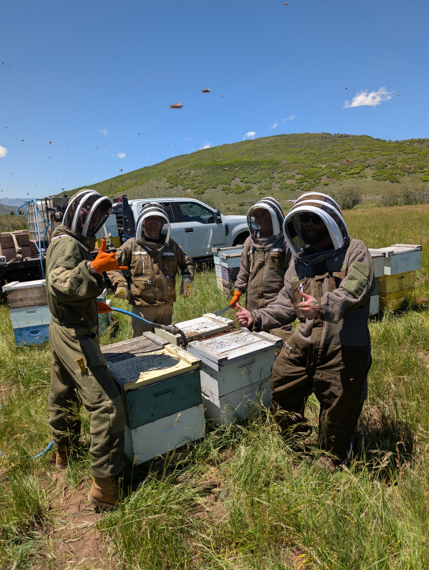 Four people in protective suits and helmets work with beekeeping boxes outdoors on grassy land with hills and vehicles in the background.