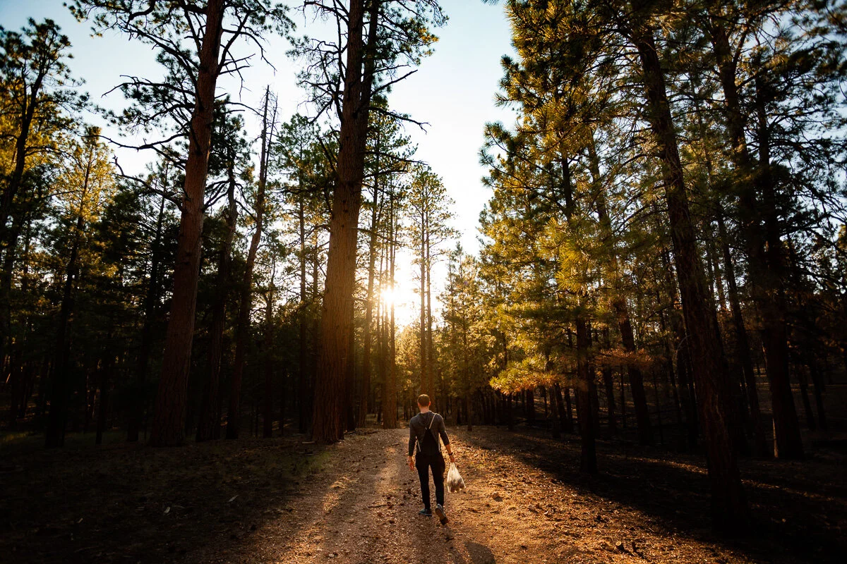 Person walking on a dirt path through a forest with tall trees and sunlight shining through, during sunset.