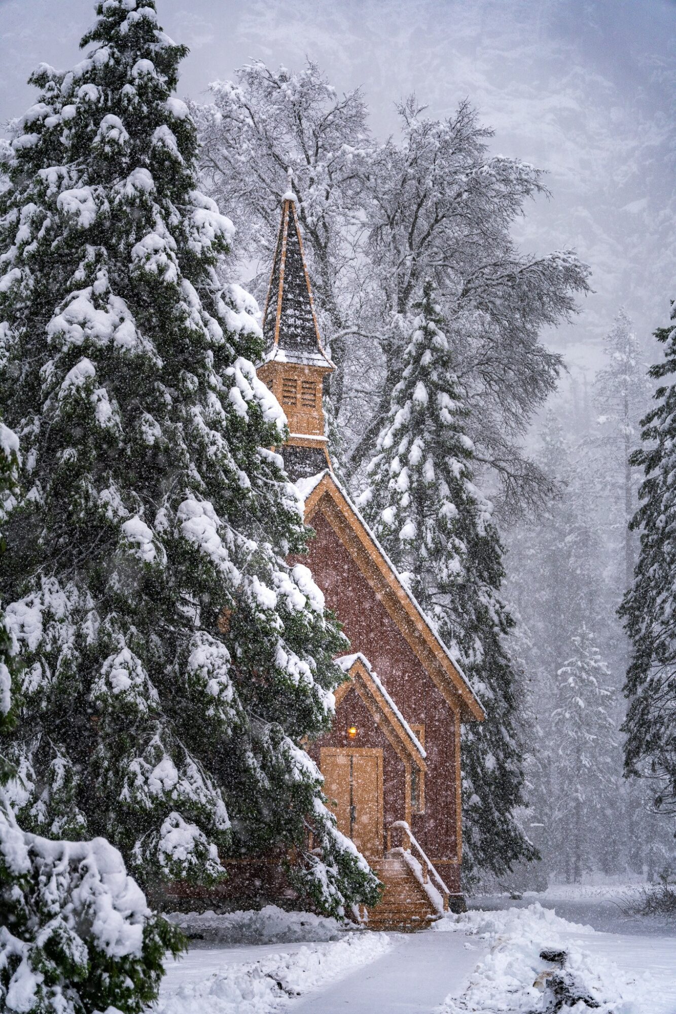 Snow-covered church with tall trees and a steeple in a winter landscape.