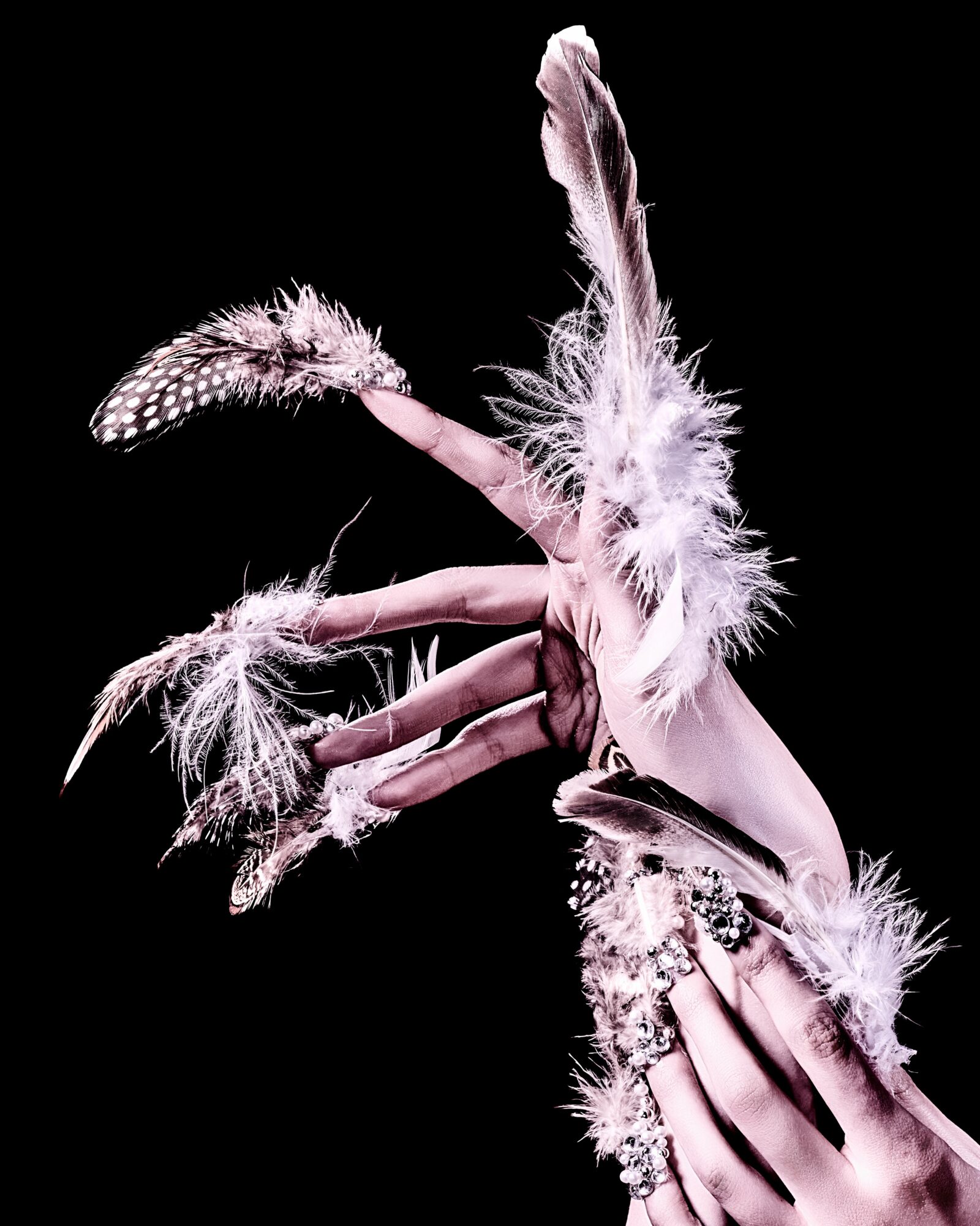 Hand with feathers and jewelry against black background, fingers extended, decorated with feathers and rings.
