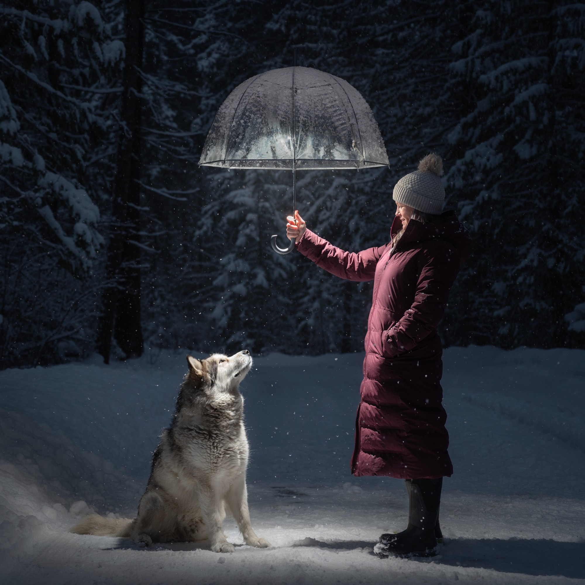 Person in winter coat and hat holding an umbrella with a dog sitting in snow, surrounded by snow-covered trees.