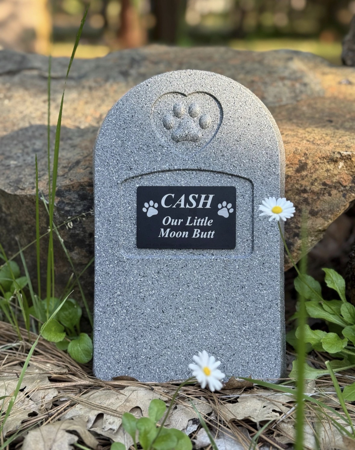 Gray stone memorial with a paw print and heart symbol at the top, engraved plaque reading 'CASH Our Little Moon Butt,' surrounded by grass and flowers.