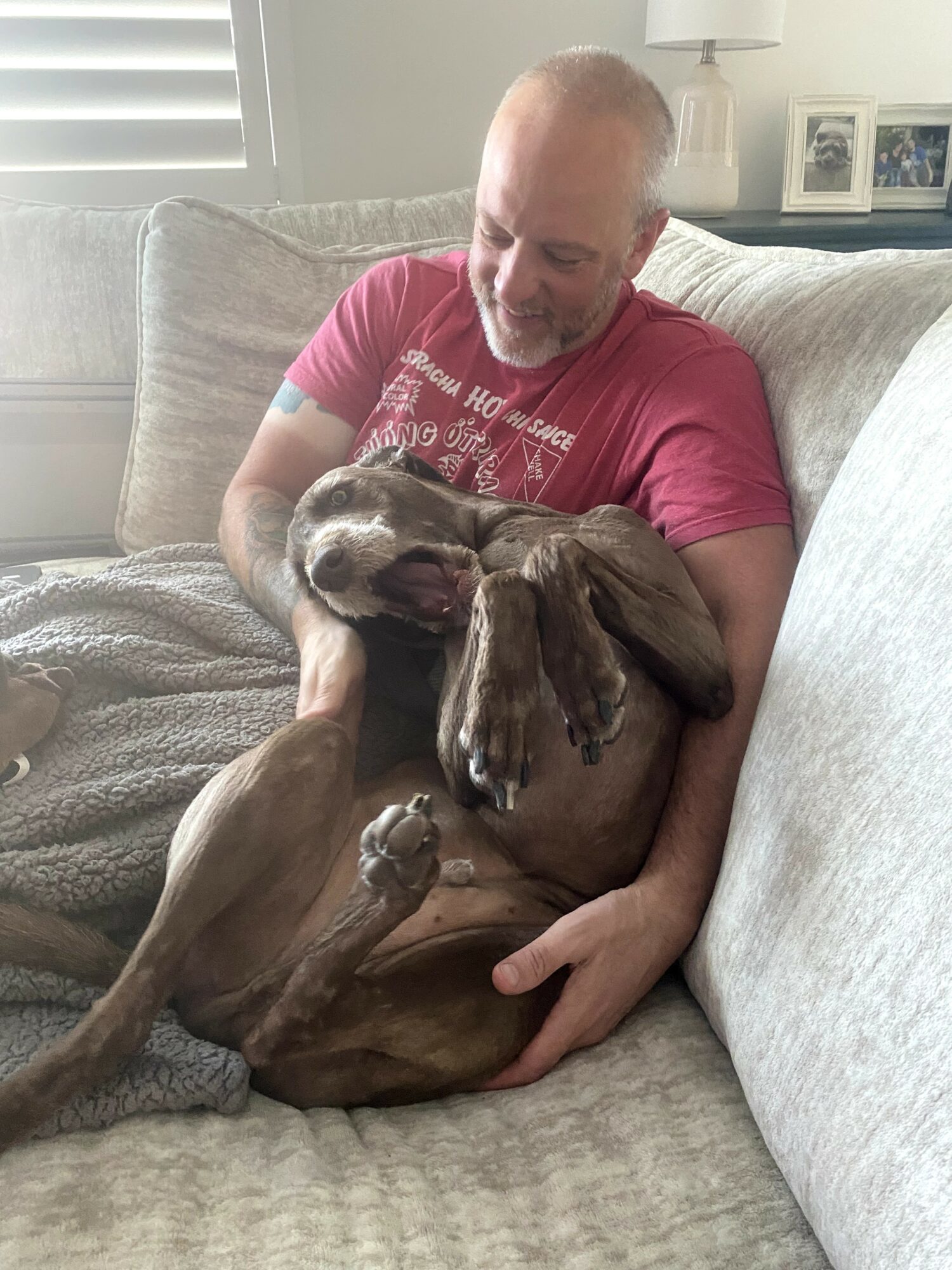 Man sitting on sofa holding a dog, both smiling, in a bright living room with framed photos on the wall.