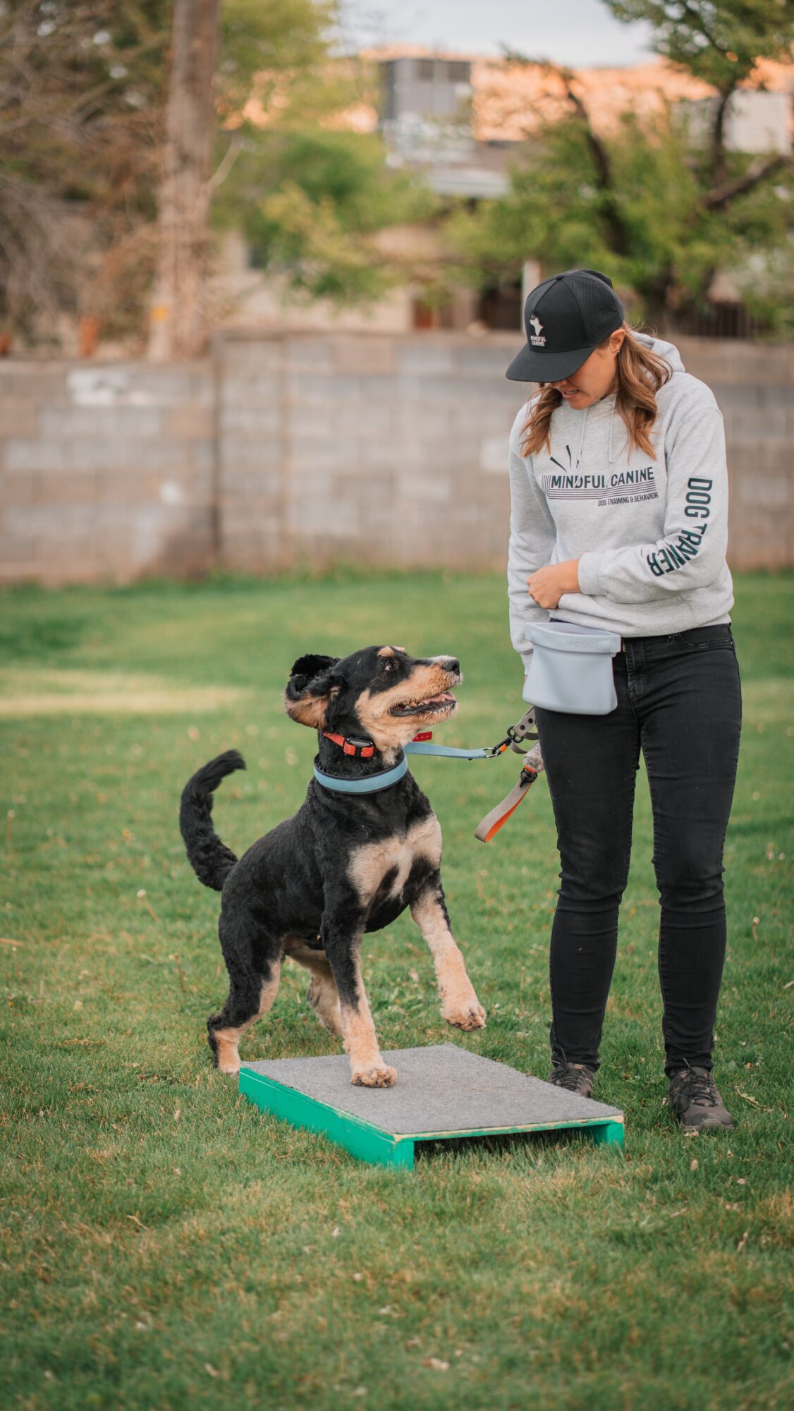 Person standing outdoors with a dog on a platform, holding a leash, in a grassy area with trees and a wall in background.