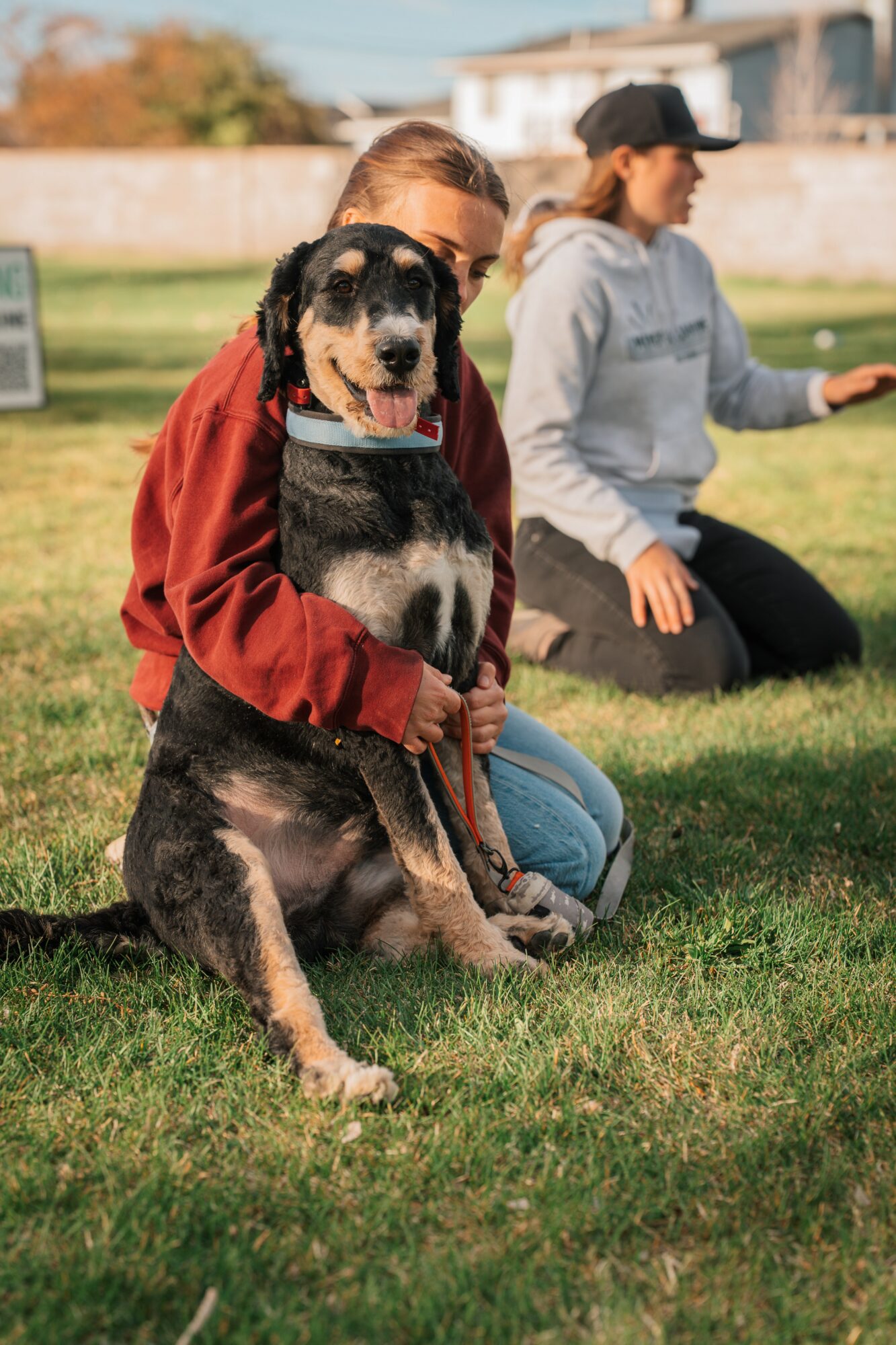 Child holding a large black and brown dog sitting on grass, two women in background, outdoor setting