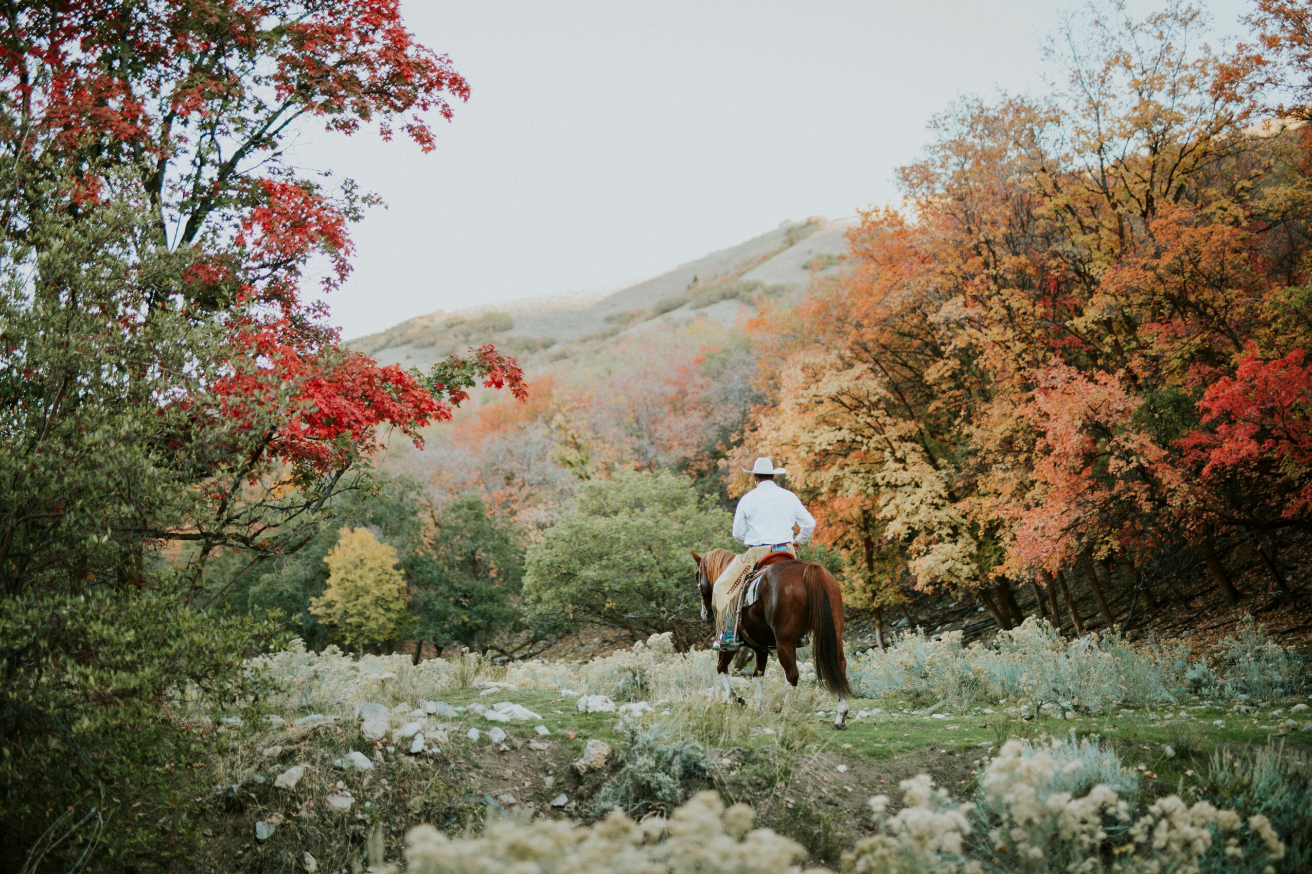 Person riding a horse through a forest with autumn-colored trees and hills in the background.