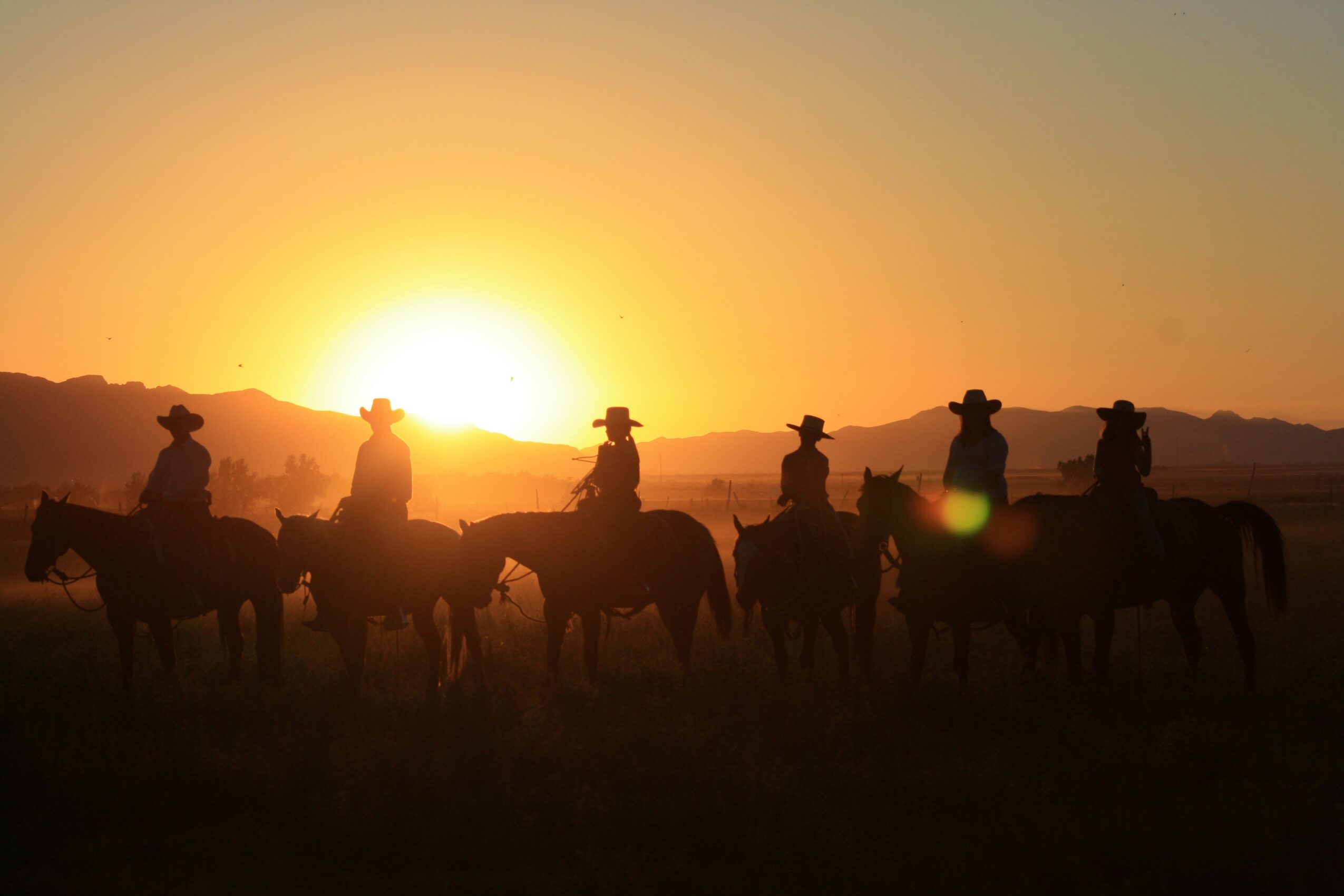 Silhouettes of people on horseback against a sunset sky, with a landscape in the background.