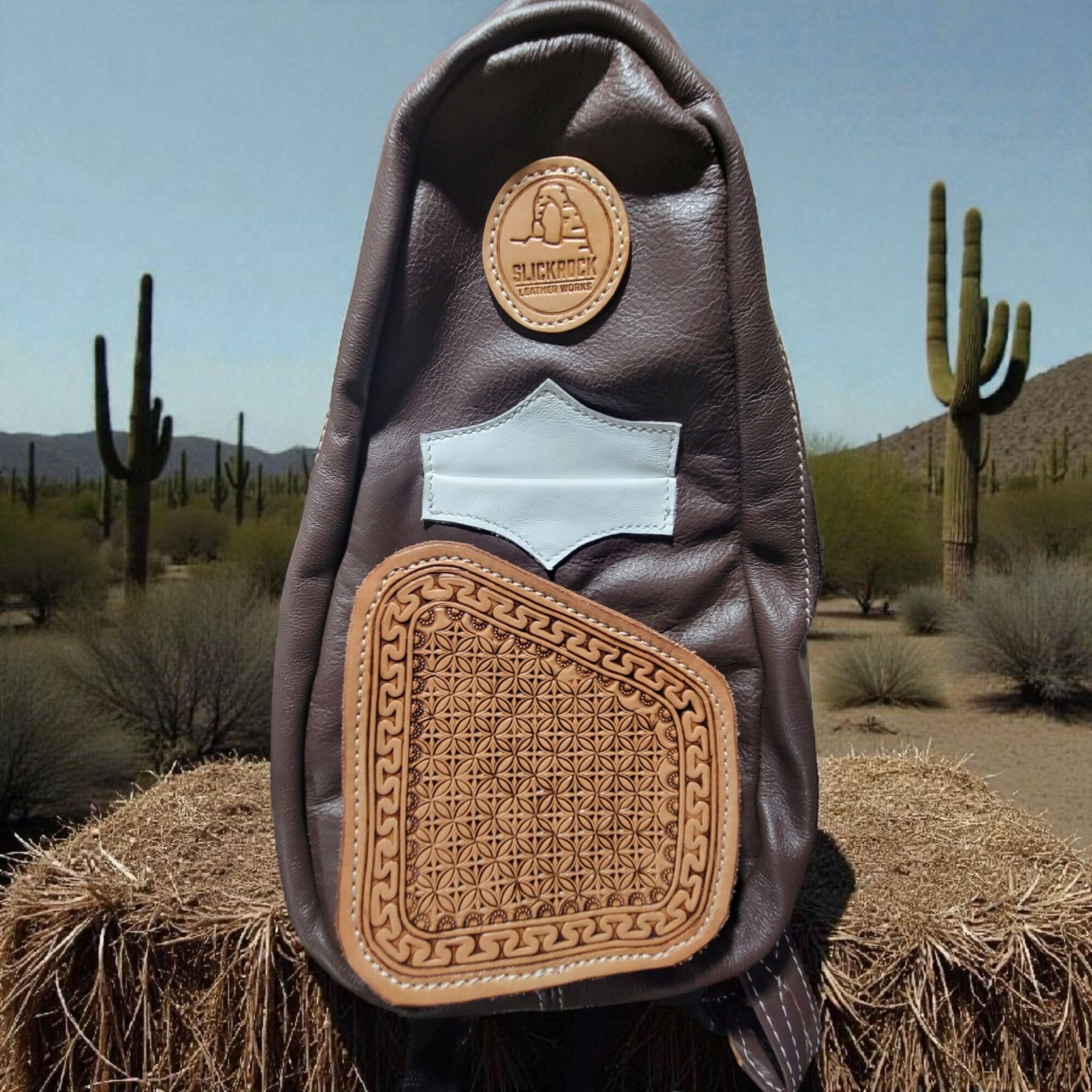 Backpack with patches, set outdoors with desert plants and cacti in background.