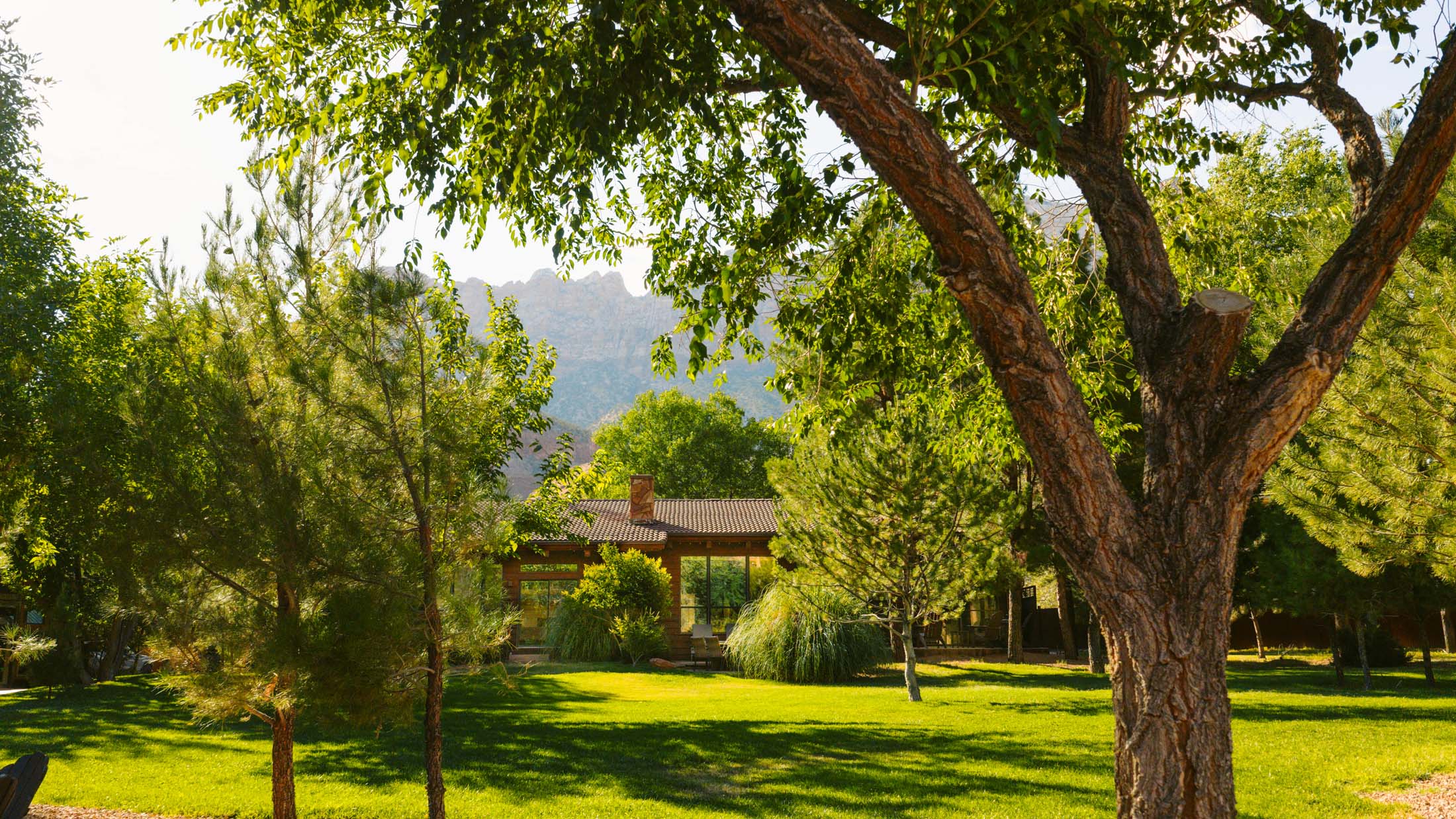 Park with trees, grass, and a building in the background, under a clear sky.