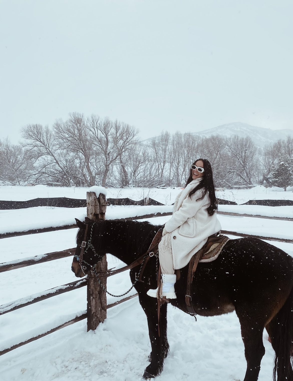 Person wearing sunglasses and a white coat riding a dark horse in a snowy landscape with trees and mountains in the background.