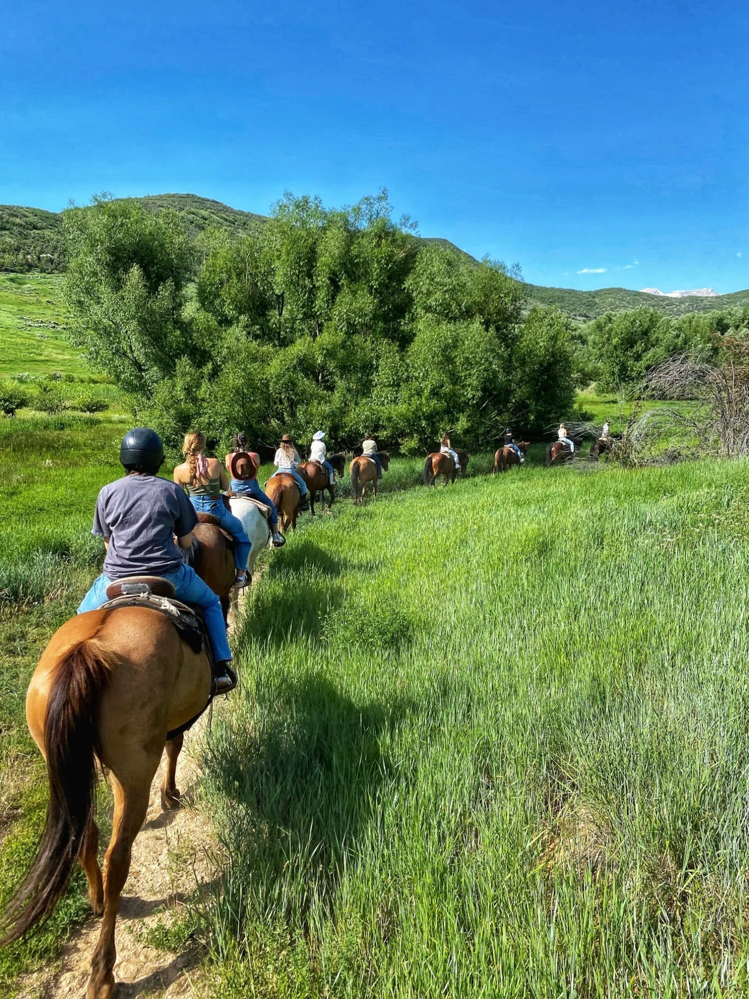Group of people riding horses along a grassy trail with green hills and a large tree in the background under a clear blue sky.