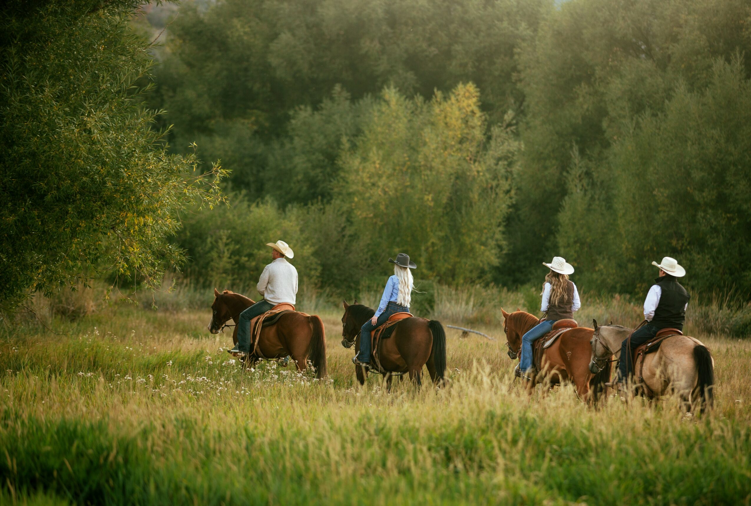 Four people riding horses through a grassy field with trees in the background, wearing hats and casual clothing.