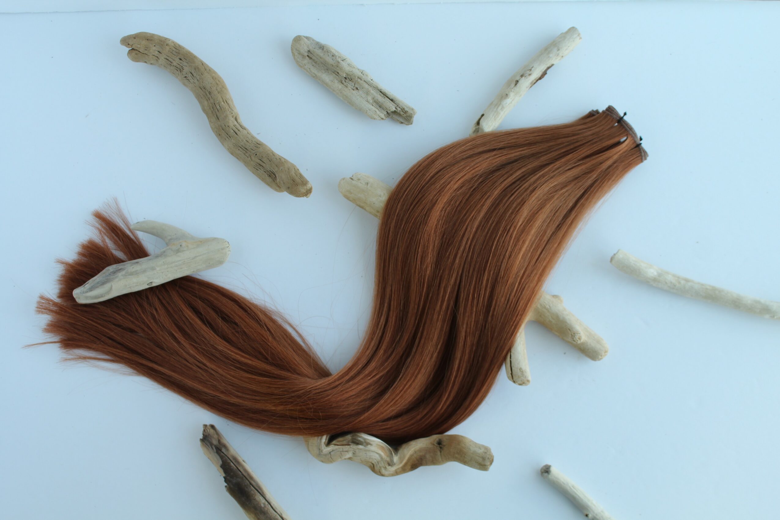A lock of brown hair surrounded by small, light-colored, curved objects on a light background.