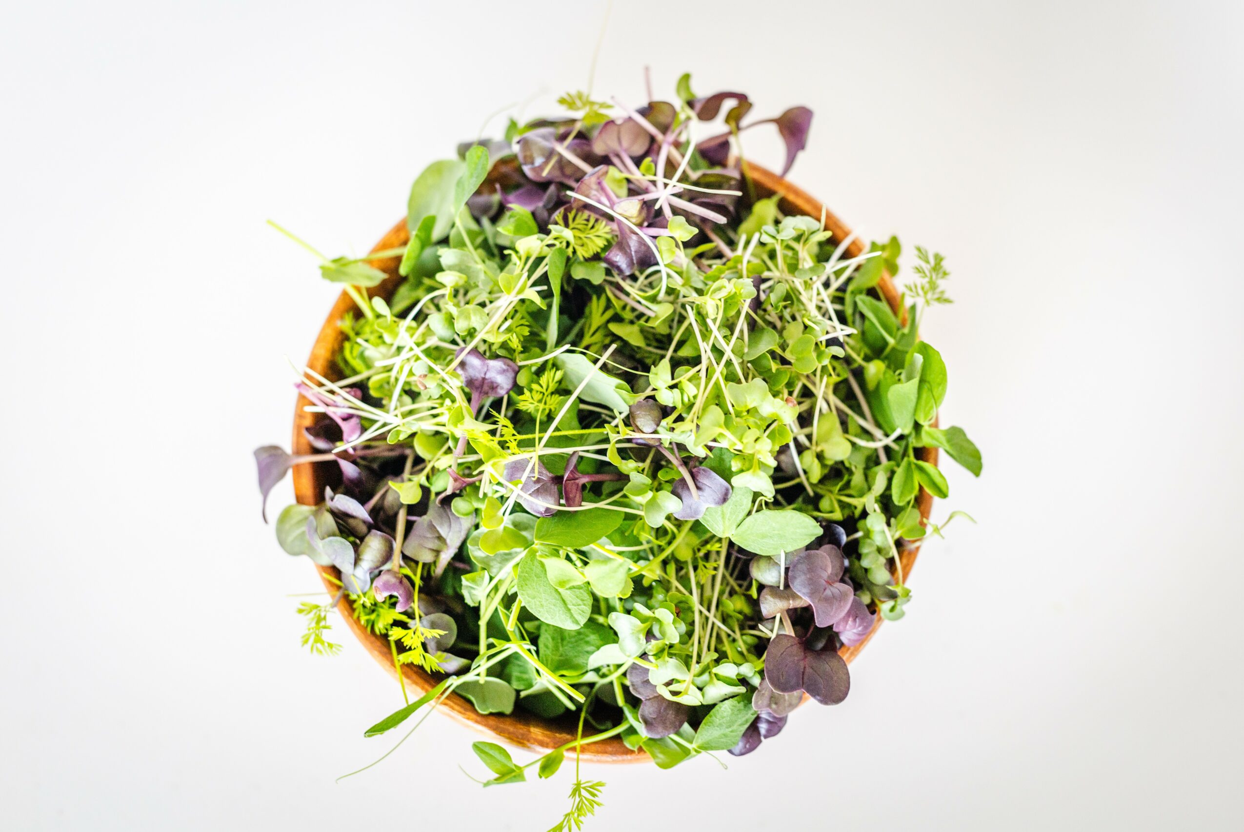Top view of a bowl filled with mixed green and purple leafy salad greens.