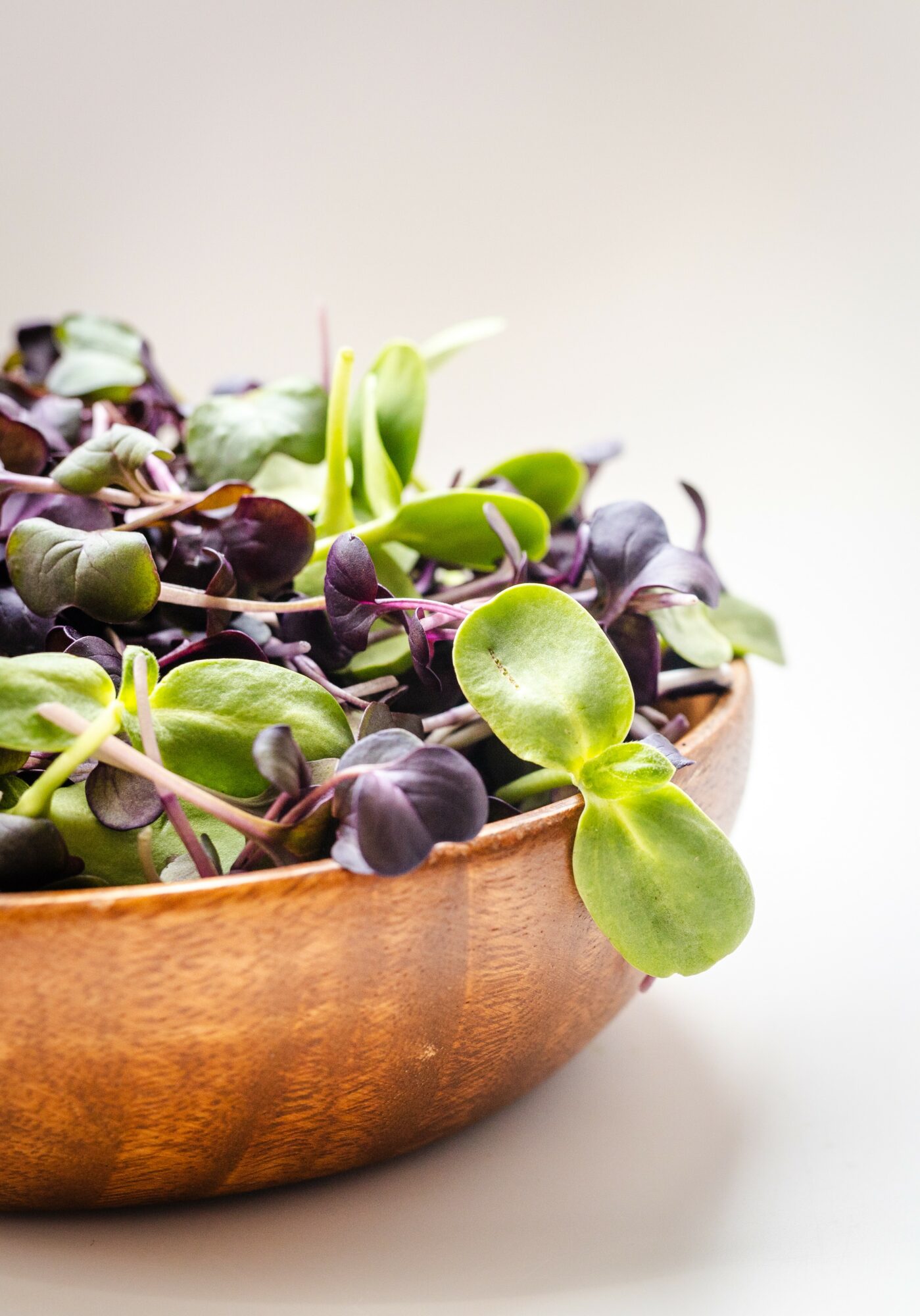 Close-up of a wooden bowl filled with green and purple microgreens on a white background.