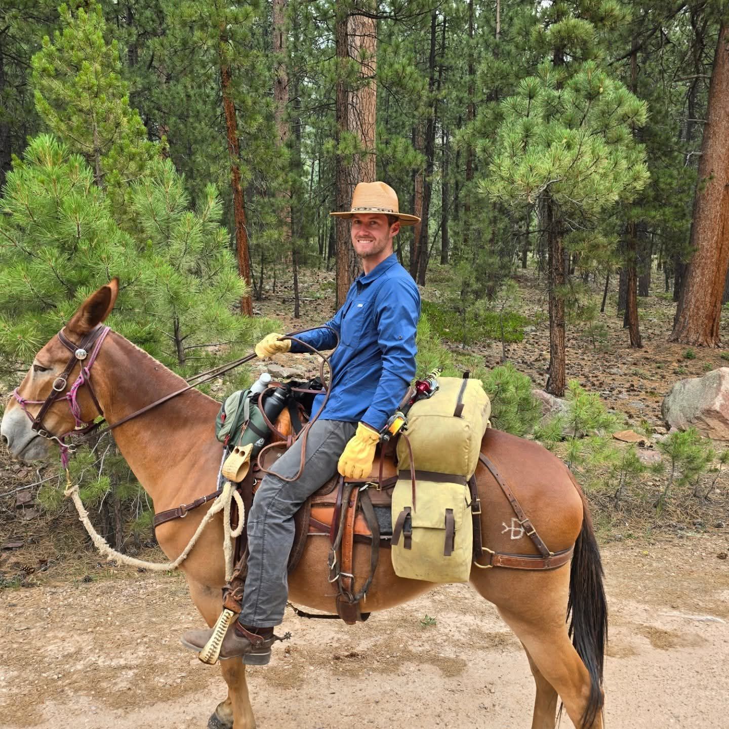 Person wearing a hat and blue shirt riding a horse in a forested area, carrying bags on saddle.