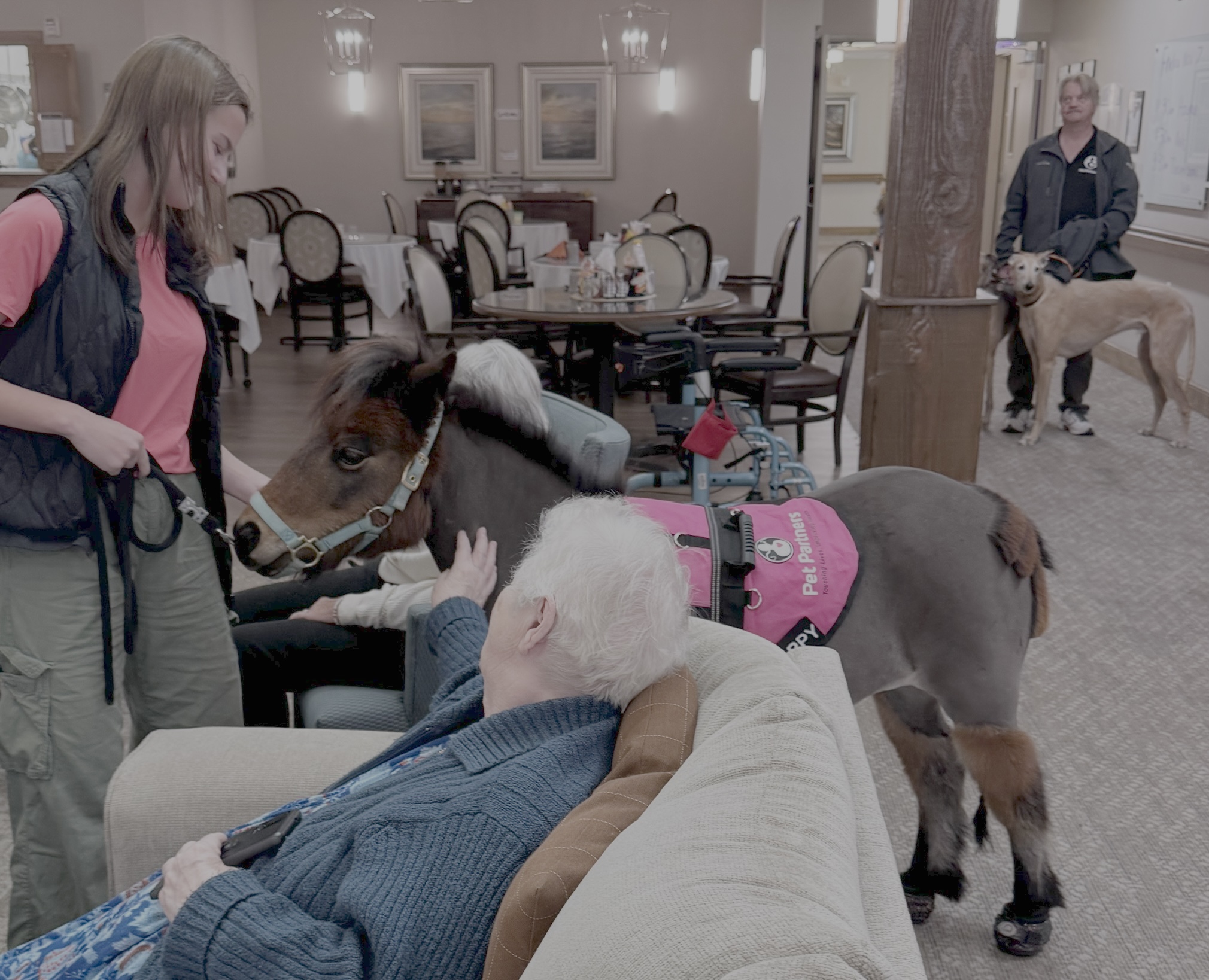 Elderly person with white hair sitting on a couch, petting a therapy dog, with a woman holding the dog’s leash nearby, in a room with dining tables and chairs.