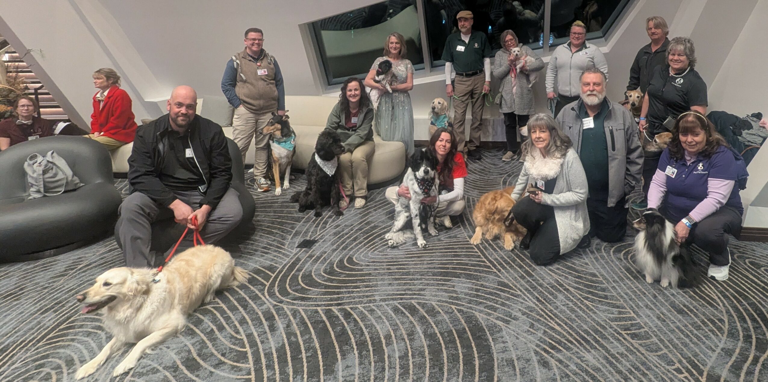 Group of people with dogs in an indoor space, some sitting and some standing, with a patterned carpet and modern decor.