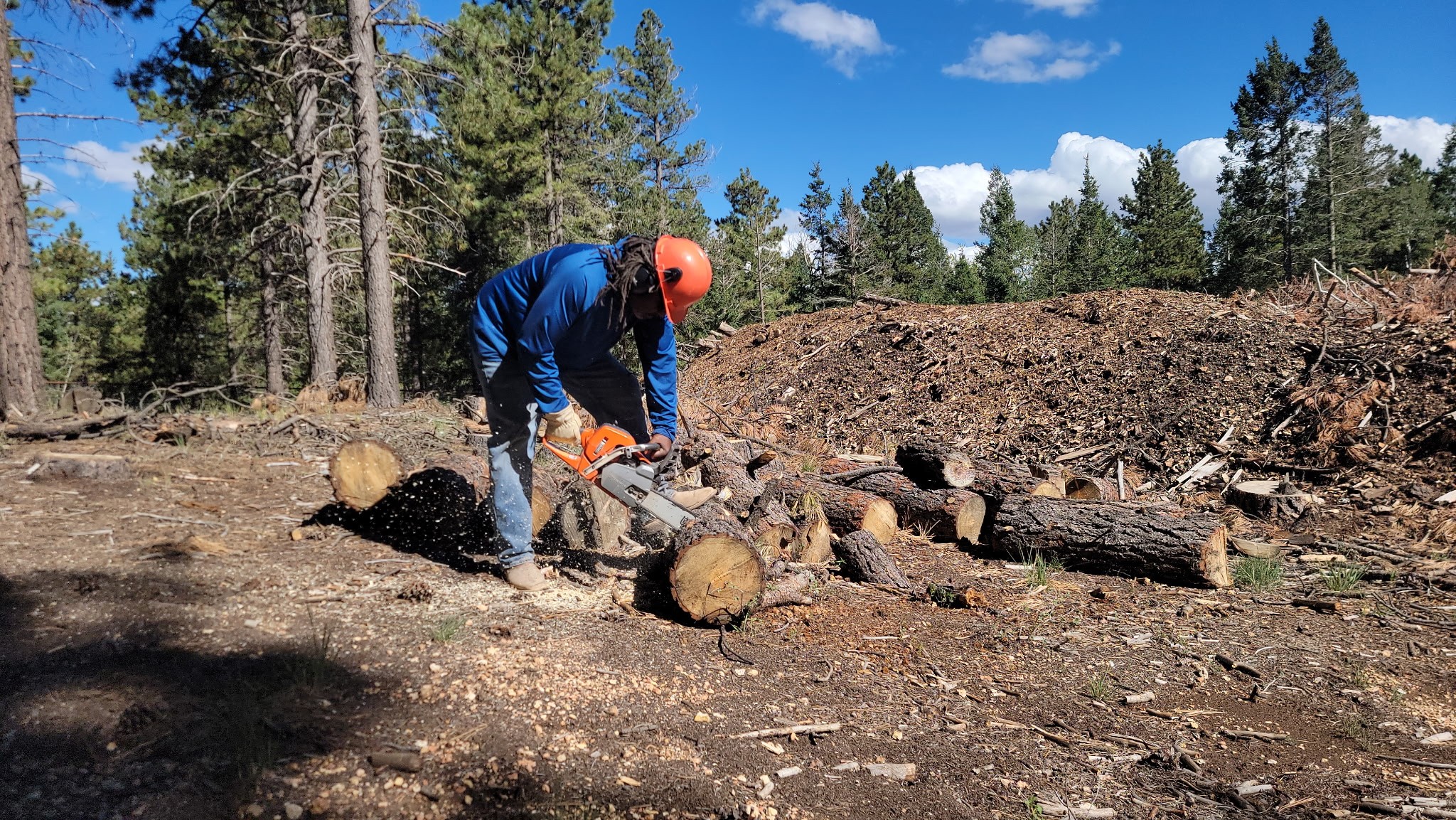Person wearing a helmet and blue jacket cutting logs with a chainsaw outdoors, trees and sky in background.