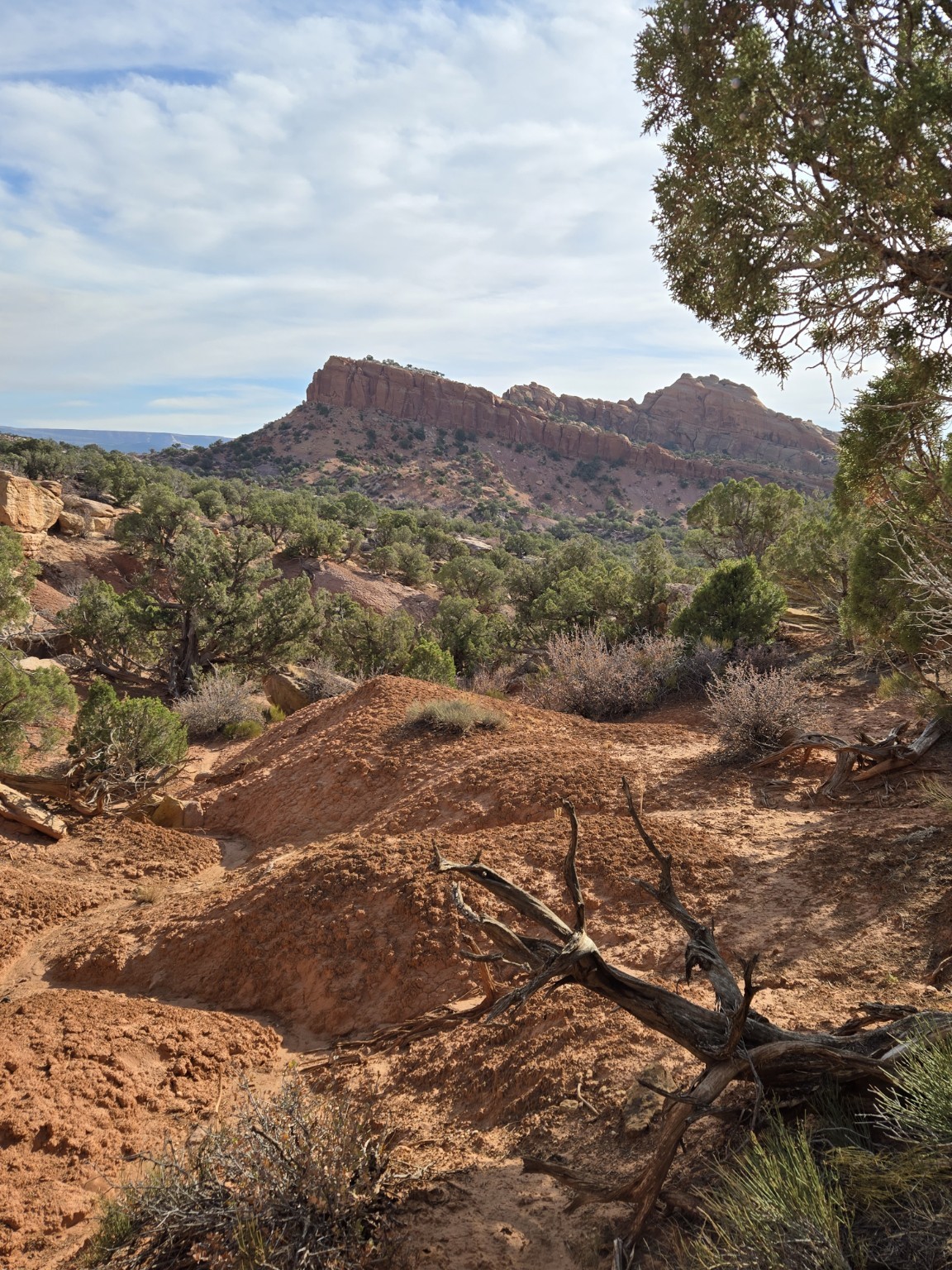 Desert landscape with rocky terrain, sparse trees, and a distant flat-topped mountain under a partly cloudy sky.
