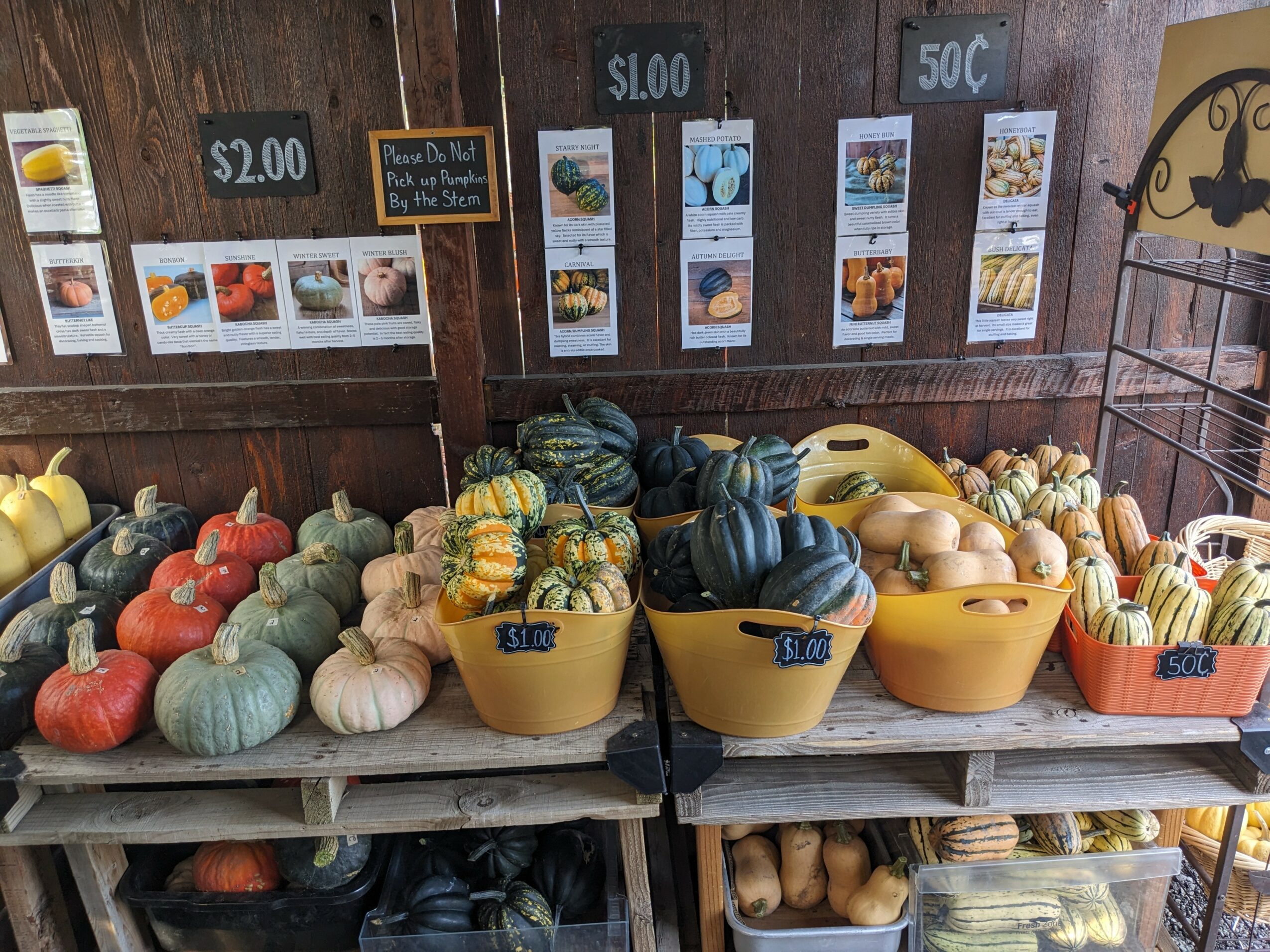 Display of various pumpkins and gourds in yellow and orange bowls on a wooden table, with price signs above.