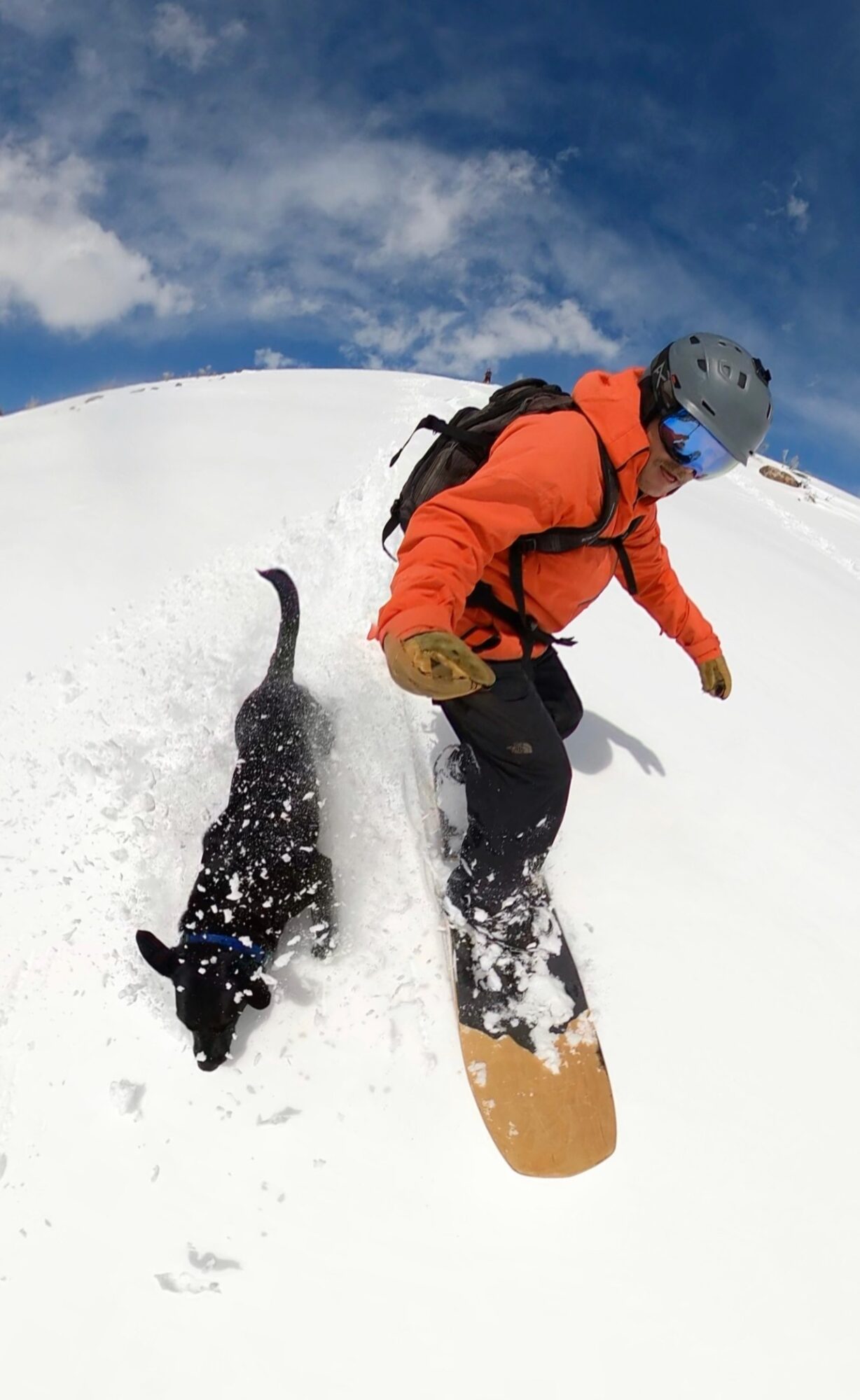 A person snowboarding down a snowy slope beside a black dog.