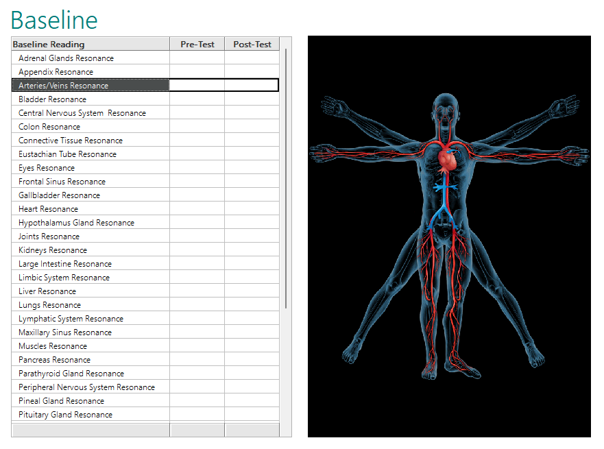 Medical report with a list of tests on the left and a digital illustration of a human body with highlighted internal organs on the right.