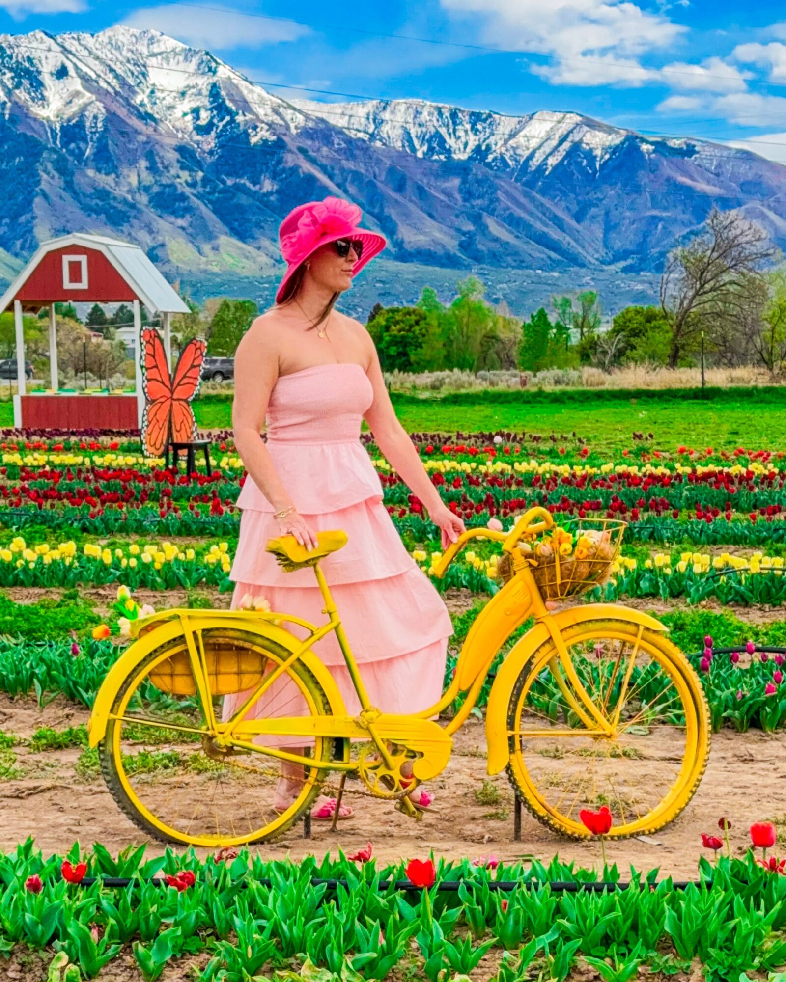 Person in a pink dress and hat stands beside a yellow bicycle in a flower field, with mountains behind.