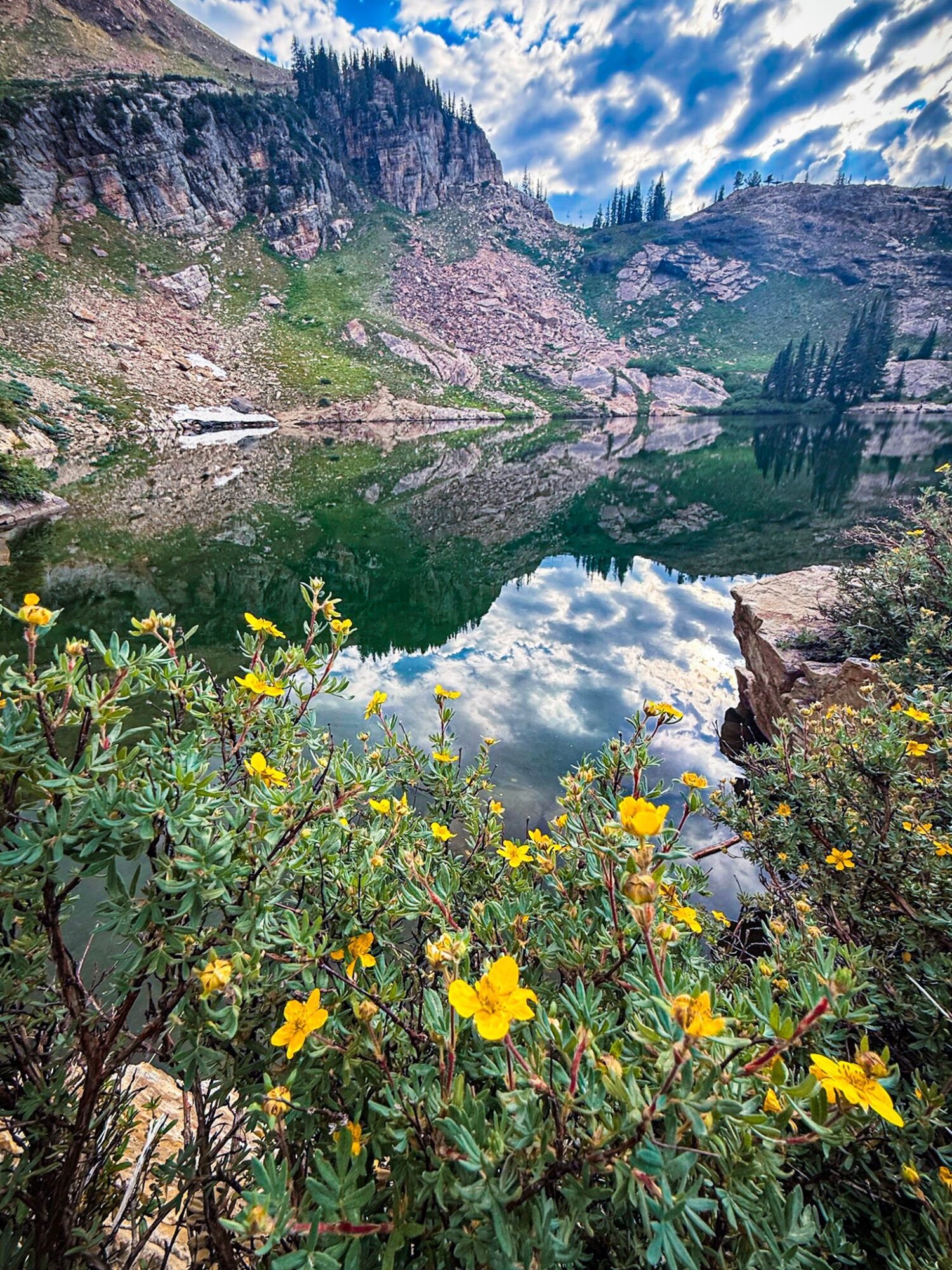 Yellow wildflowers beside a still mountain lake reflecting clouds and rocky peaks.